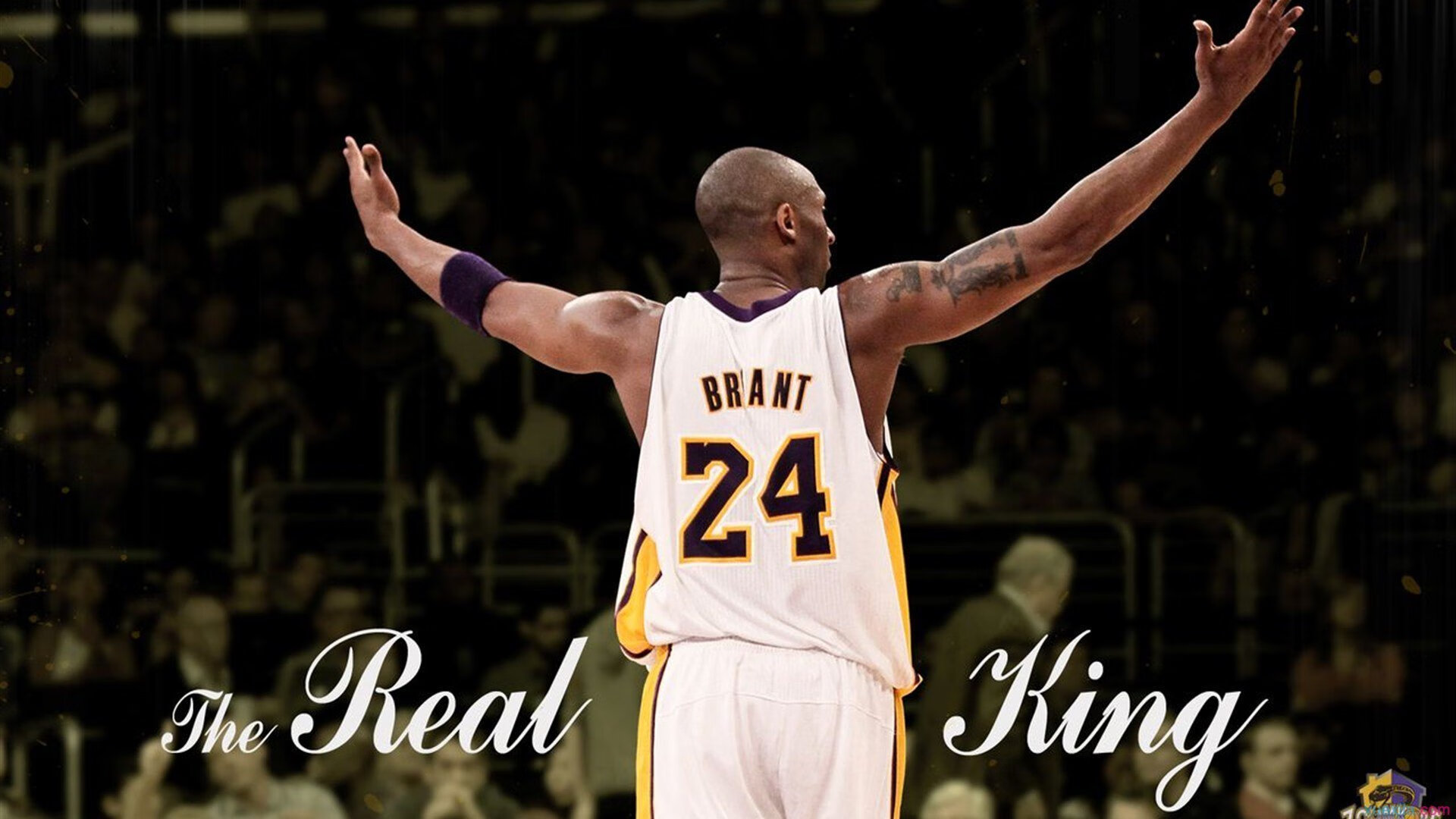 九游网-篮球裁判培训引入虚拟现实技术助力实操，篮球裁判员培训教程